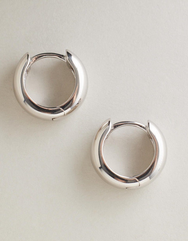 Arizona Huggies - Silver flat lay grey background