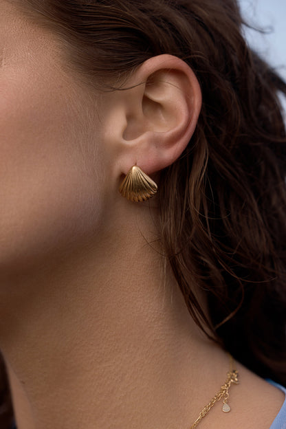 Tanah Shell Earrings - Gold close up on a women's ear