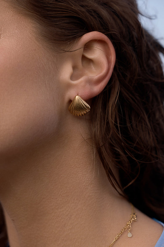 Tanah Shell Earrings - Gold close up on a women's ear