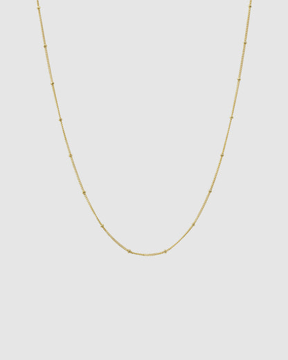 Gold Dot Chain necklace on a plain background.