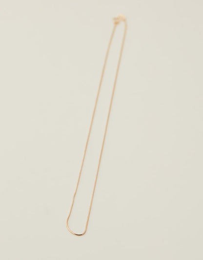 Snake Chain flat lay view